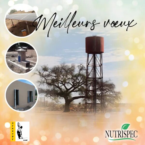 Voeux 2026  Wishes 2026