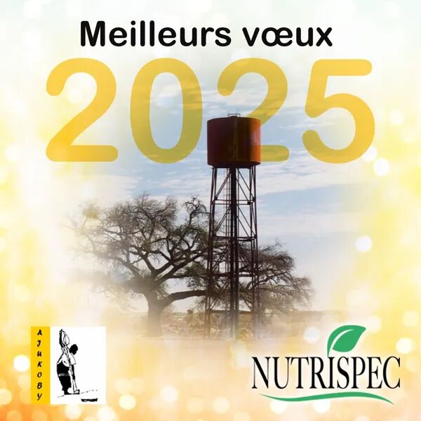 Meilleurs vœux pour 2025 - All the best for 2025!