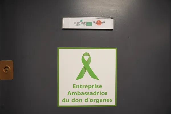 Don d'organes - Organ donation